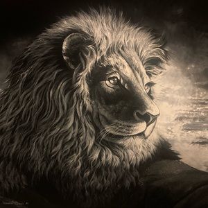 Meet your Posher, Brooks